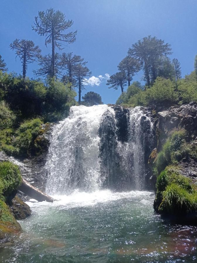 Cabana Kineco Y Tinaja Appartement Melipeuco Buitenkant foto